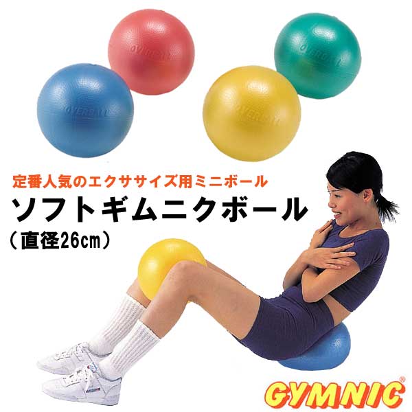 %E3%82%BD%E3%83%95%E3%83%88%E3%82%AE%e3%83%A0%a0%83%8B%E3%82%AF